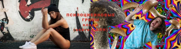 круглые Алексеевка