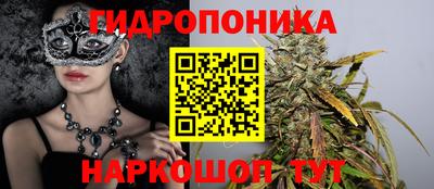 сатива Балахна