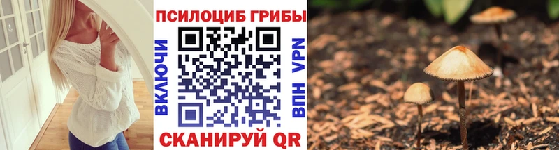 Галлюциногенные грибы Magic Shrooms omg ONION Ейск купить сайты
